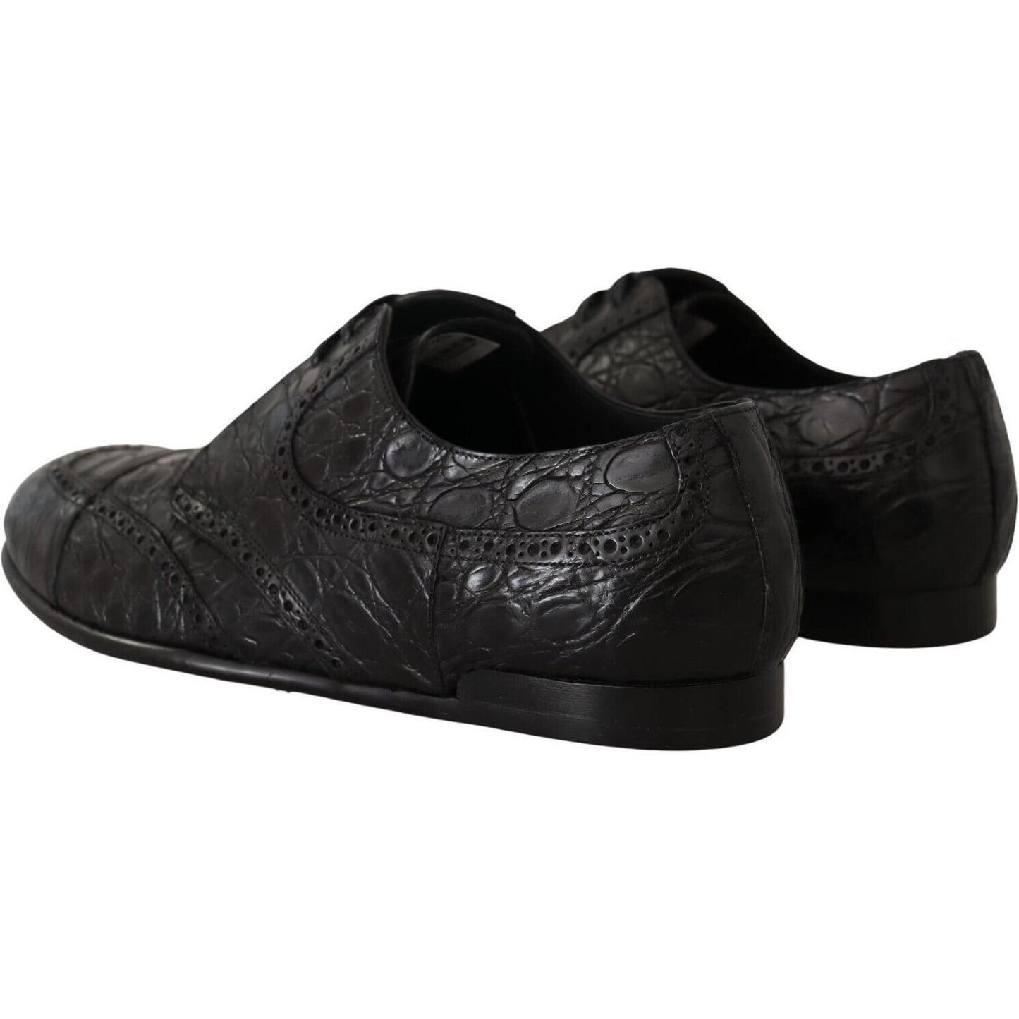 Dolce & Gabbana Exquisite Exotic Leather Derby Shoes Dolce & Gabbana