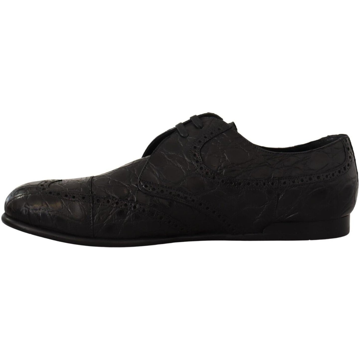 Dolce & Gabbana Exquisite Exotic Leather Derby Shoes Dolce & Gabbana