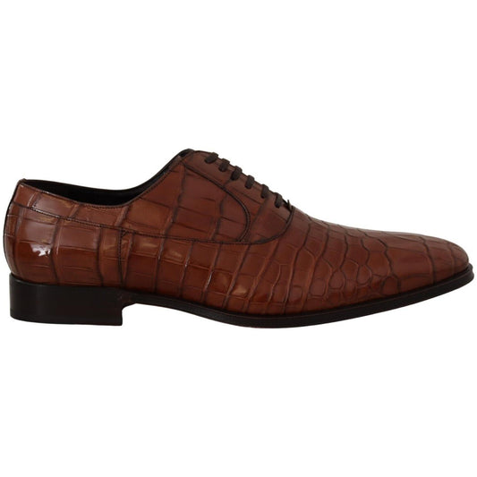 Dolce & Gabbana Brown Crocodile Leather Mens Formal Derby Shoes Dolce & Gabbana