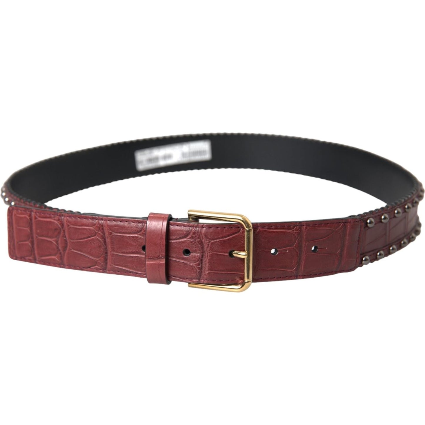 Dolce & Gabbana Brown Alligator Leather Studded Metal Buckle Belt Dolce & Gabbana