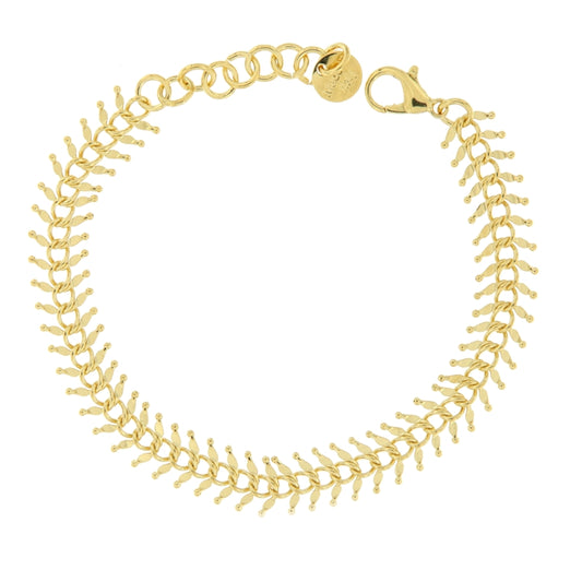 SENSE Mod. SSG-2-108-1-1